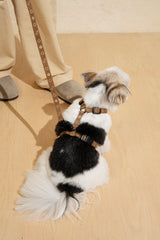 Walk kit: Companiony mini leash + harness ginger