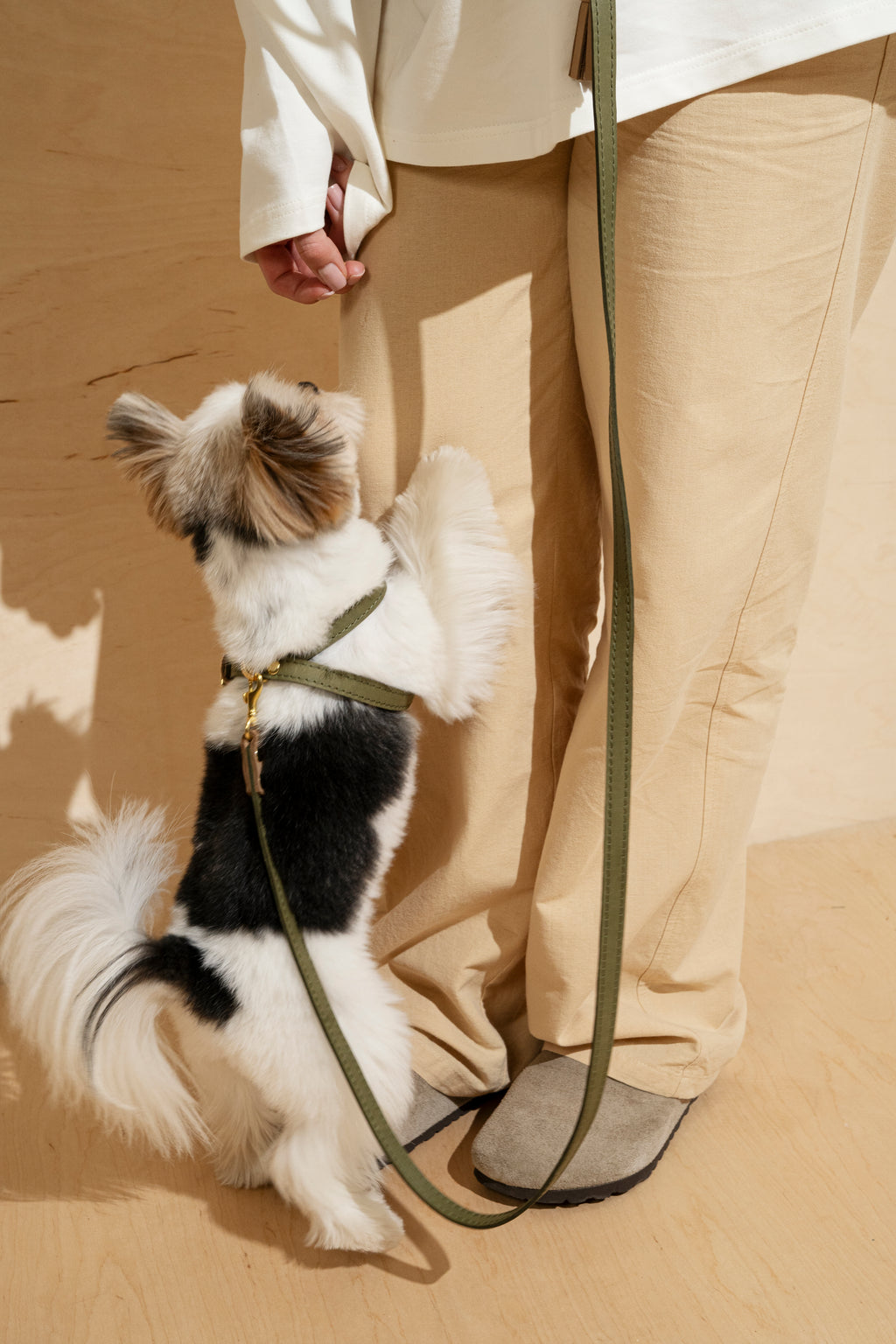 Harness Pony-Walkony green+beige