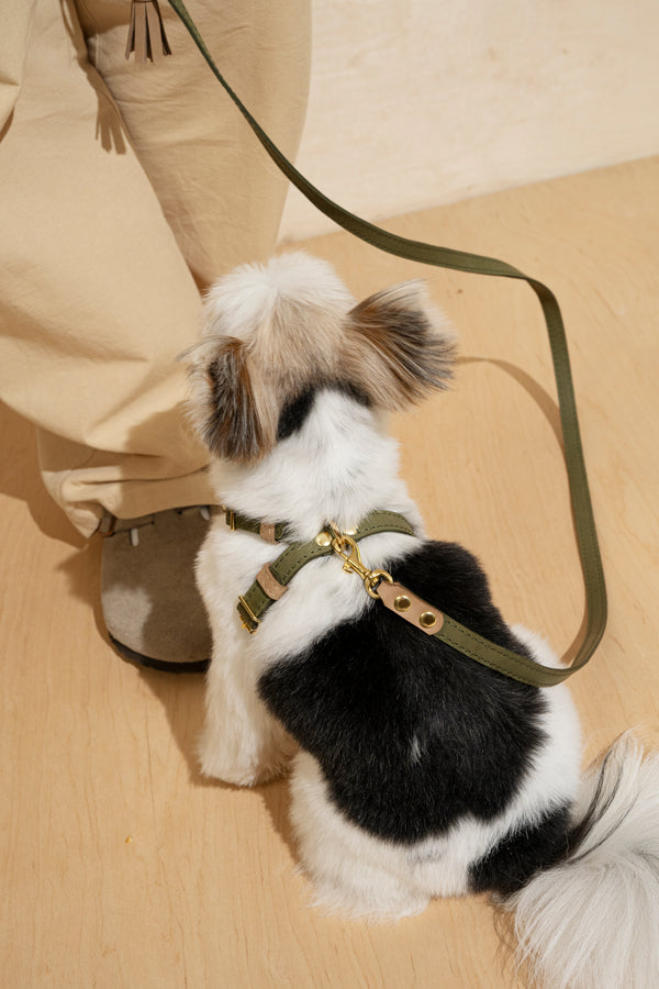 Harness Pony-Walkony green+beige