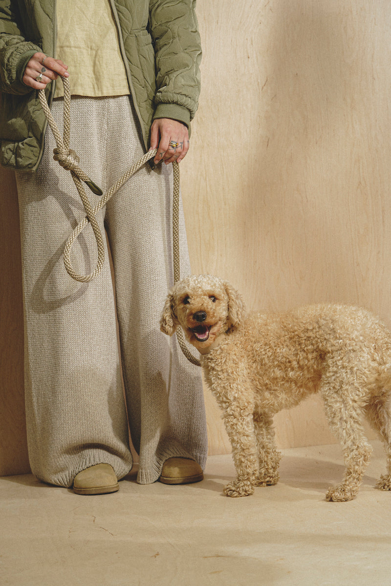 Dog leash Pony knotony Beige + Green