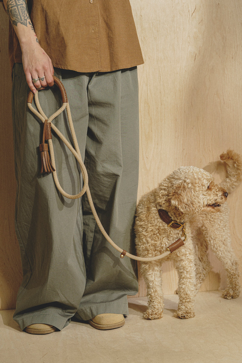 Dog leash Pony makarony Brown, light rope