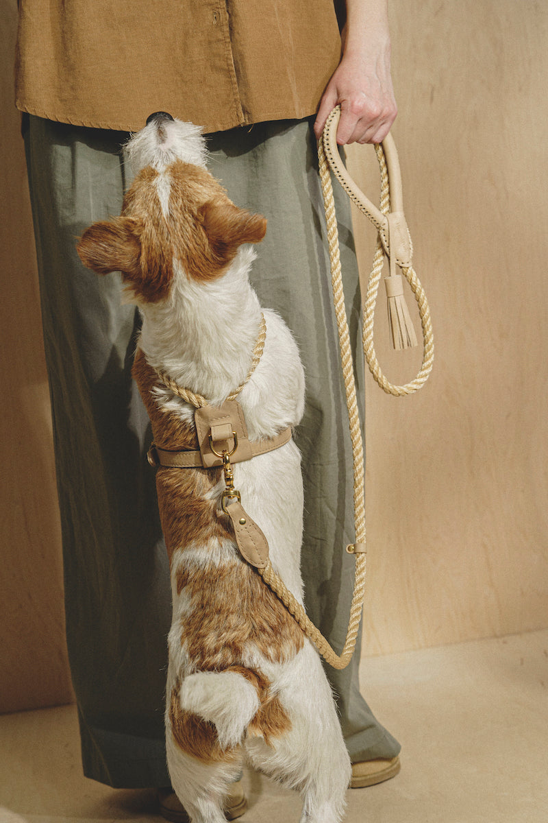 Dog leash Country Pony Beige, synthetic rope