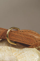 Walk kit: Country leash + collar ginger