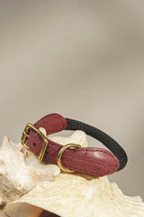 Dog collar Pony makarony Wine