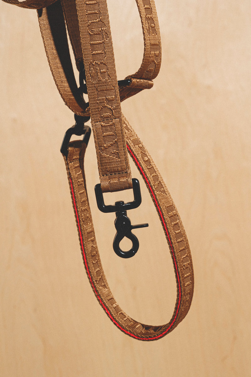 Walk kit: Companiony leash + collar ginger