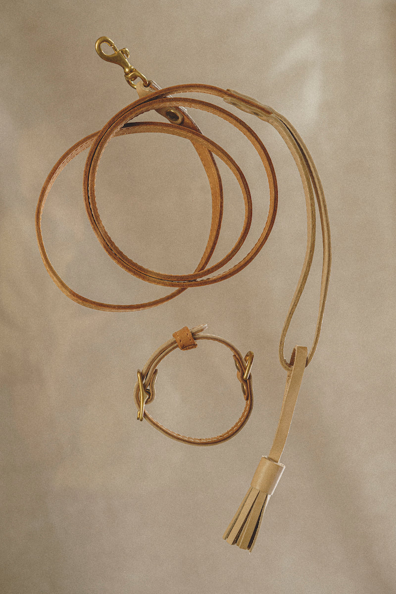Collar Pony-Walkony, beige and ginger
