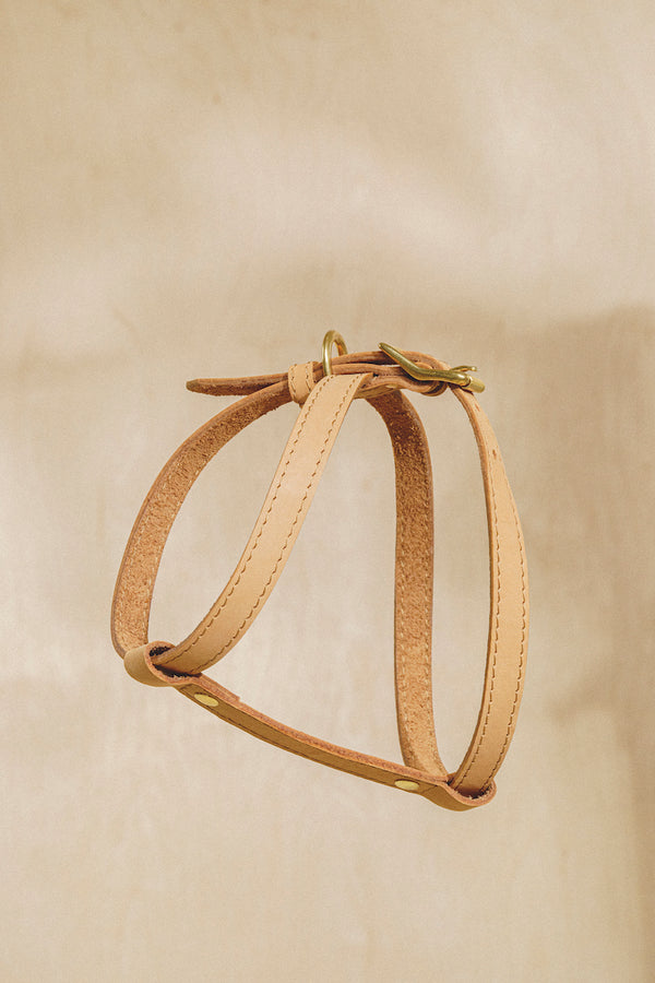 Leather harness "The eight" Ginger