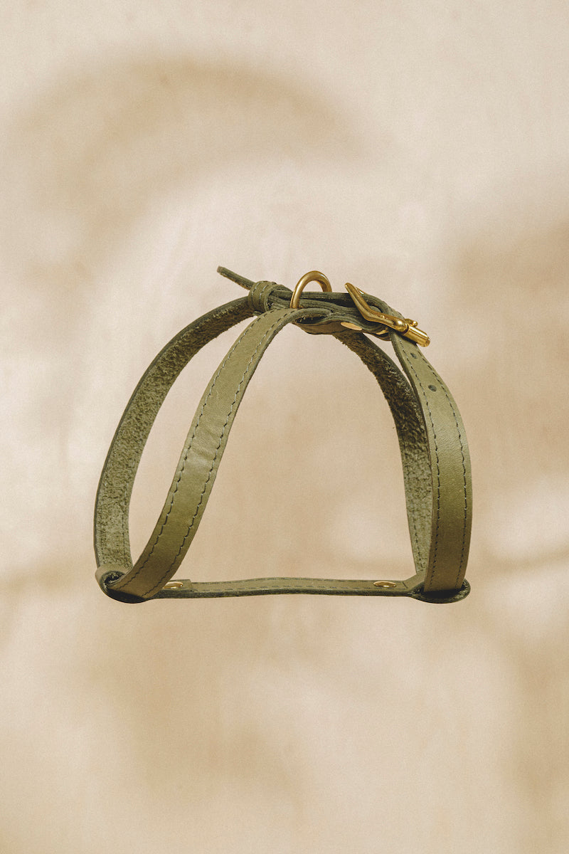 Leather harness "The eight" Green