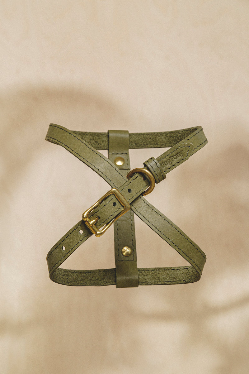 Leather harness "The eight" Green
