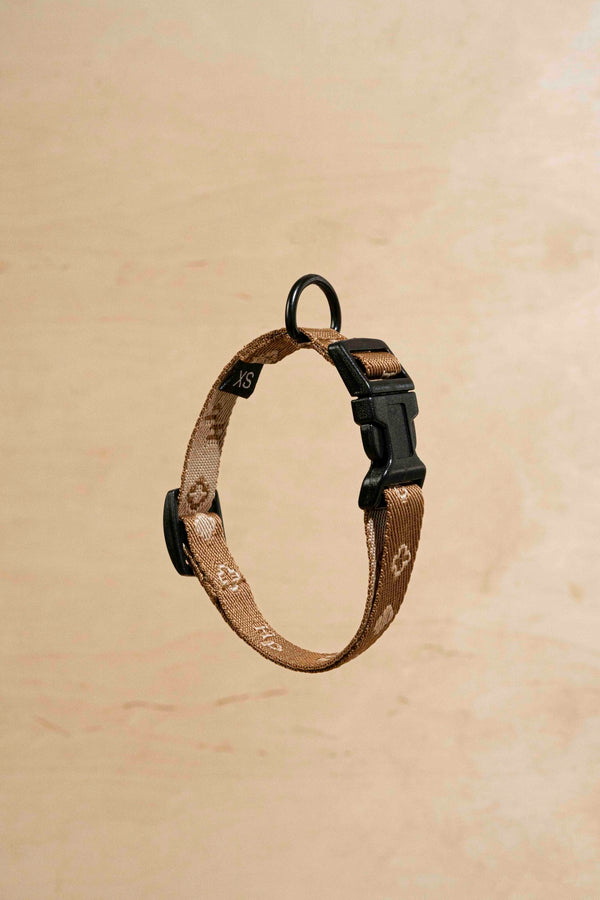 Collar “Pony-Companiony” ginger mini 3.0