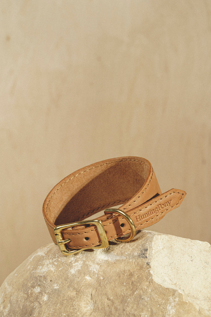 Dog collar Herring Ginger