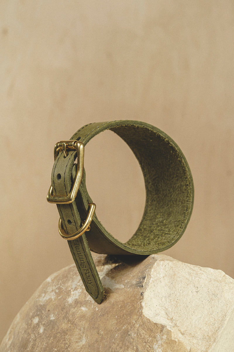 Dog collar Herring Green
