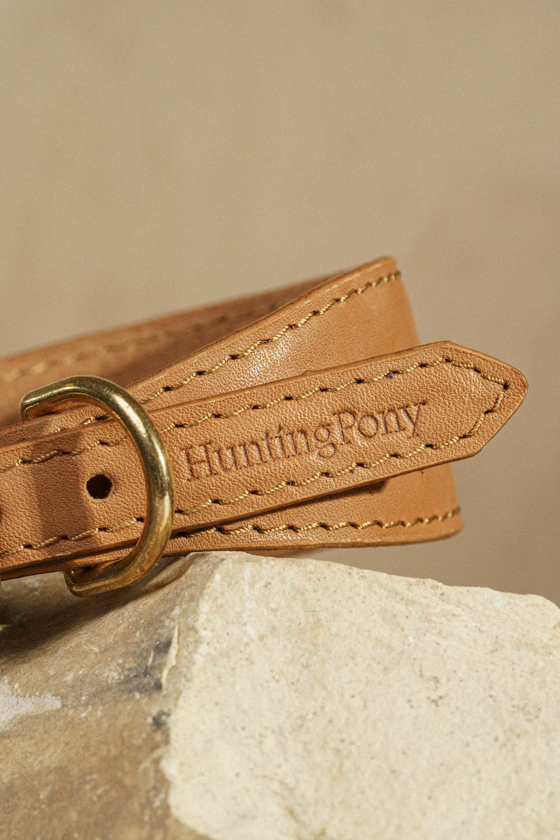 Dog collar Herring Ginger