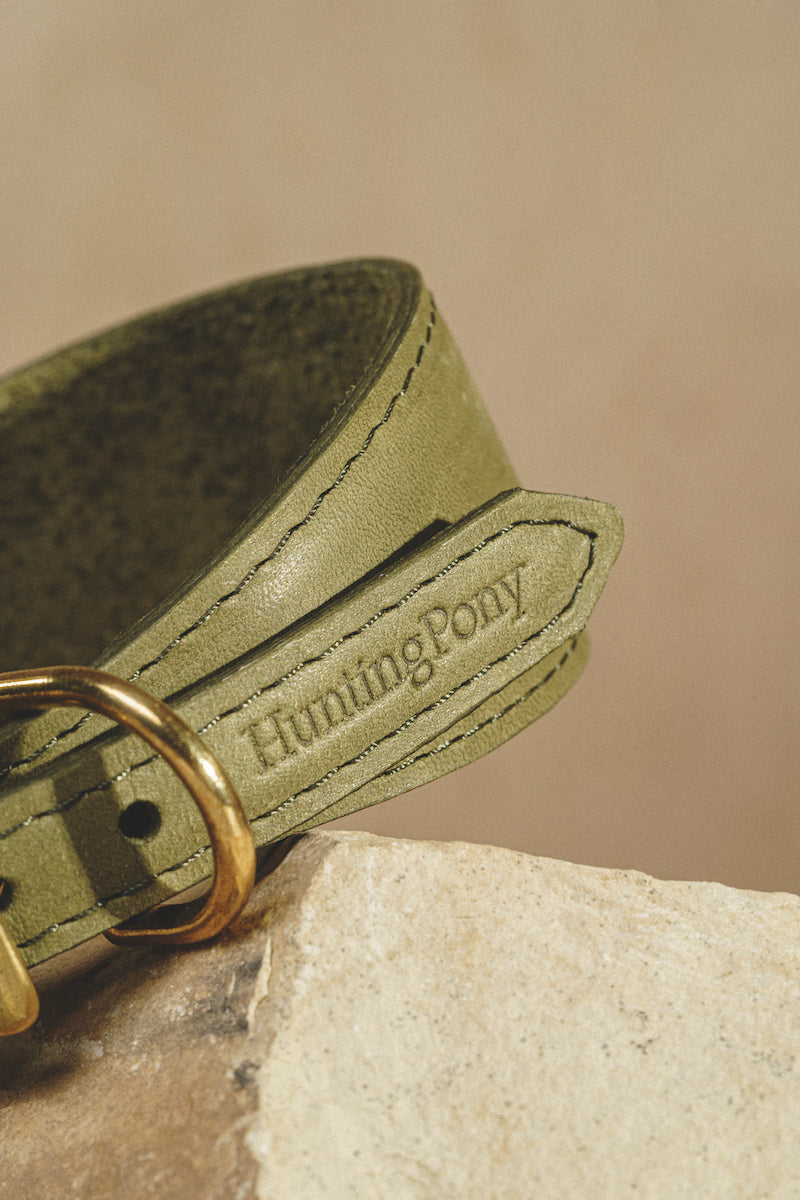 Dog collar Herring Green