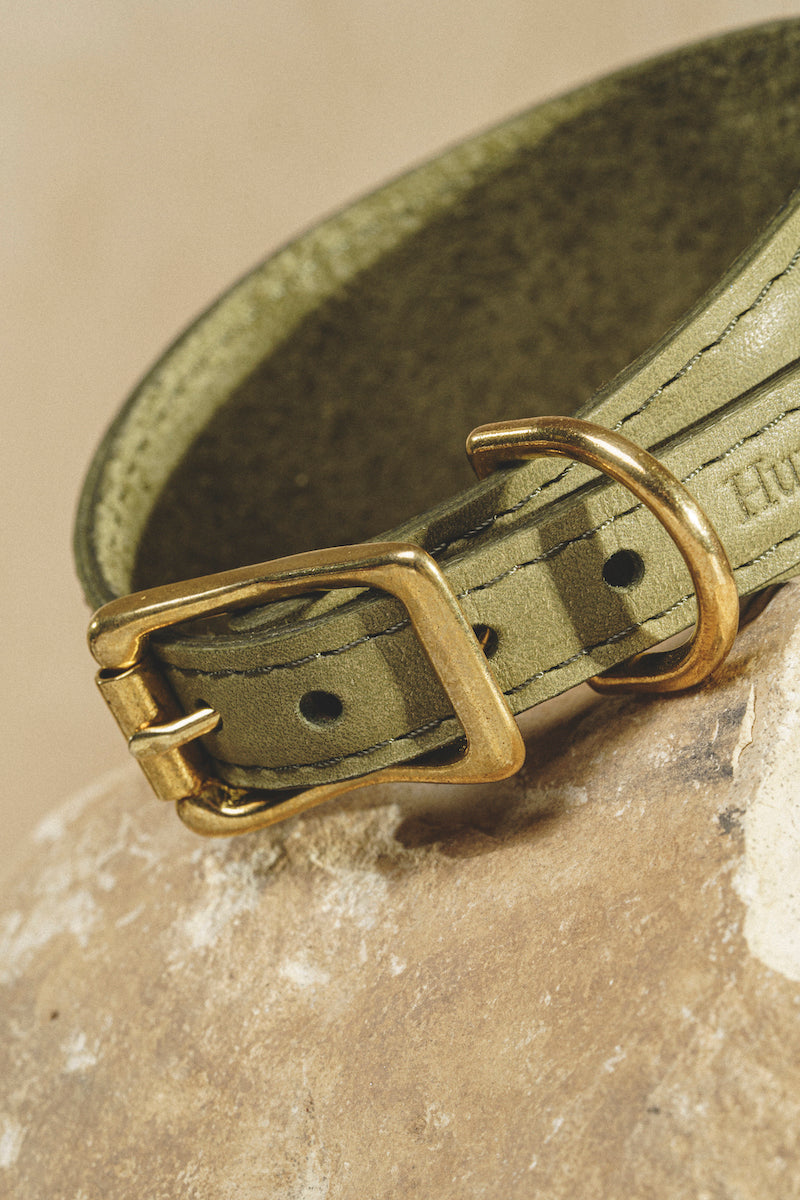 Dog collar Herring Green