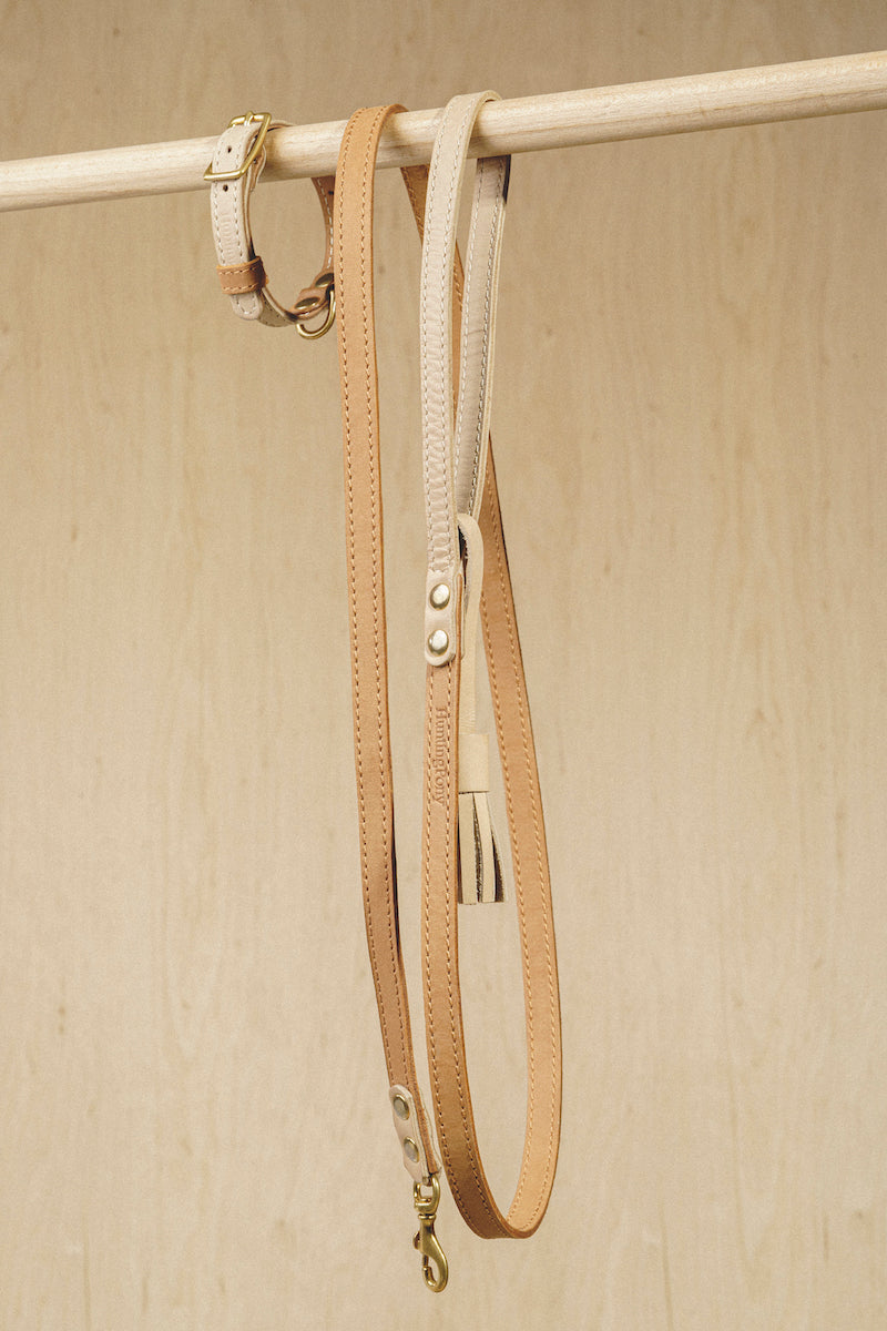 Collar Pony-Walkony, beige and ginger