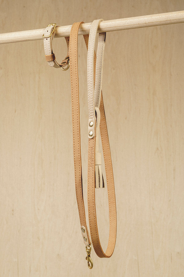 Walk kit: Walkony leash + collar beige-ginger