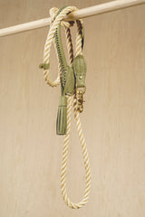 Walk kit: Country leash + collar green