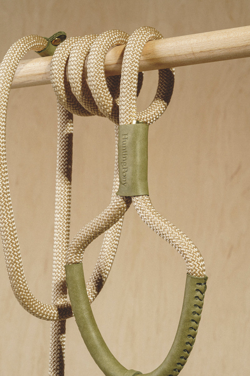 Walk kit: Makarony beige rope leash + collar green