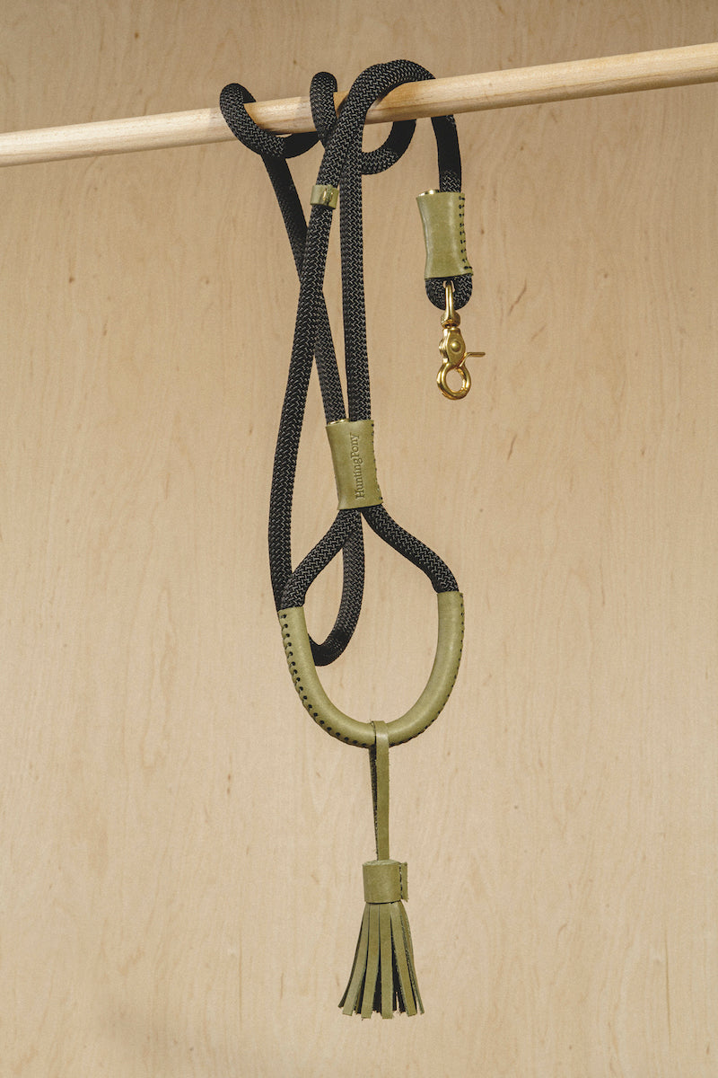 Walk kit: Makarony dark rope leash + collar green