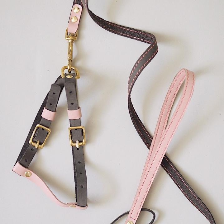 Leather harness Pony-Walkony