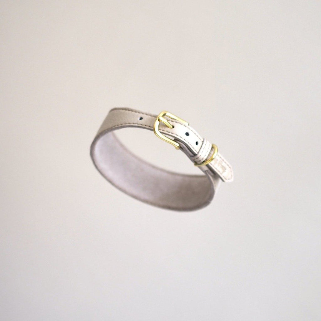 Dog collar Herring beige