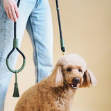 Dog leash Pony makarony green