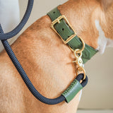 Dog leash Pony makarony green