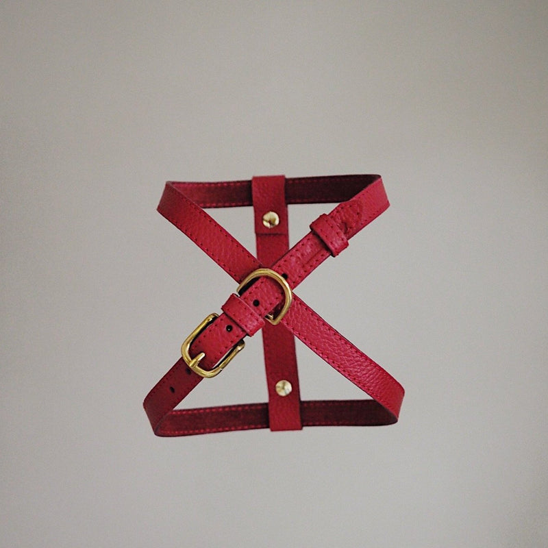 Leather harness "The eight"