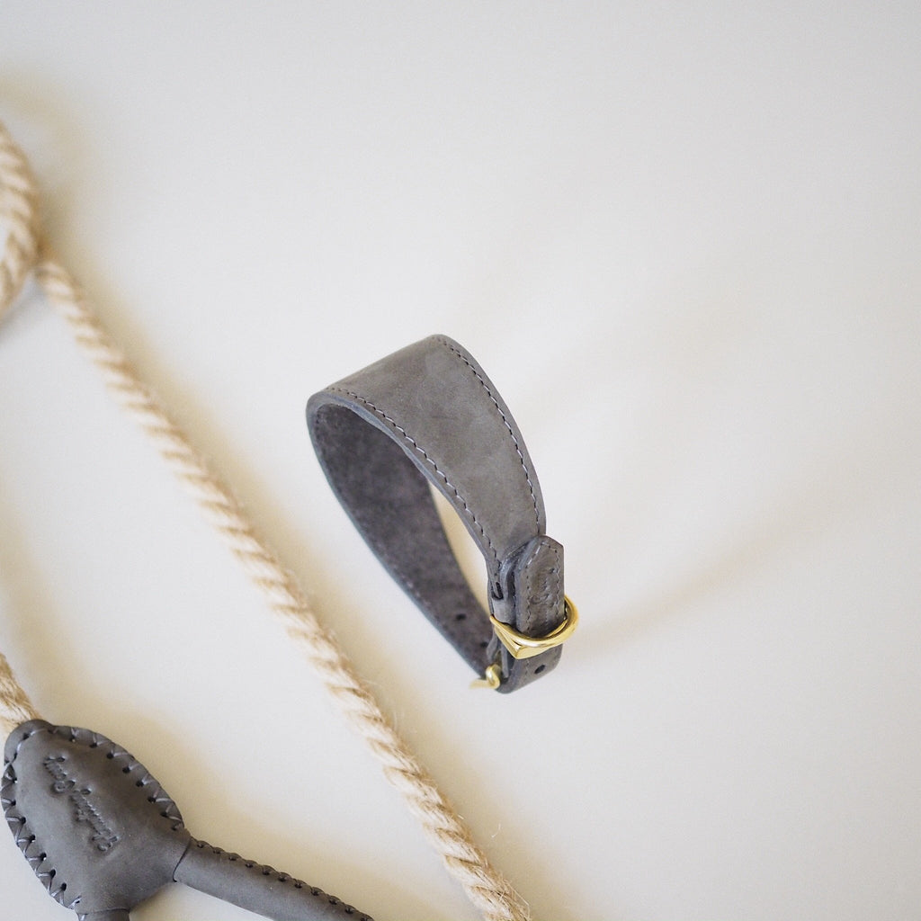 Dog collar herring graphite