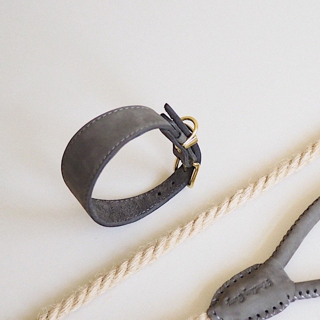 Dog collar herring graphite