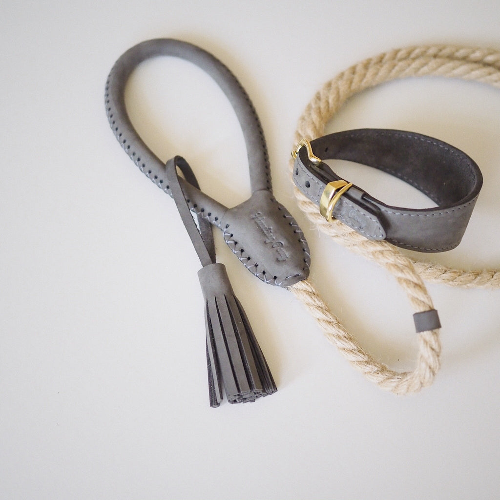 Dog collar herring graphite