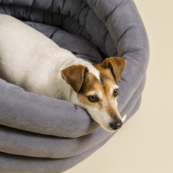 Hundebett Pony cloud dunkelgrau