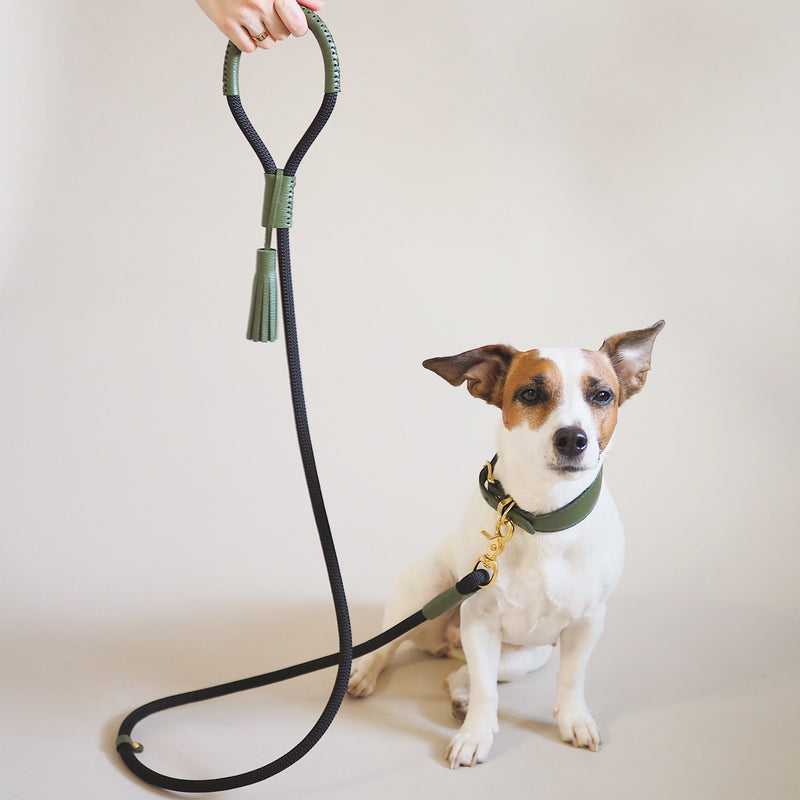 Dog leash Pony makarony green